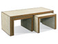 Coffee table ZAINE NESTING